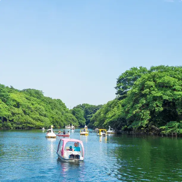 遊覧ボートが浮かぶ水辺
